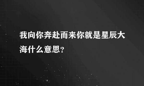 我向你奔赴而来你就是星辰大海什么意思？