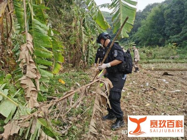 东航MU5735航班的五大疑问