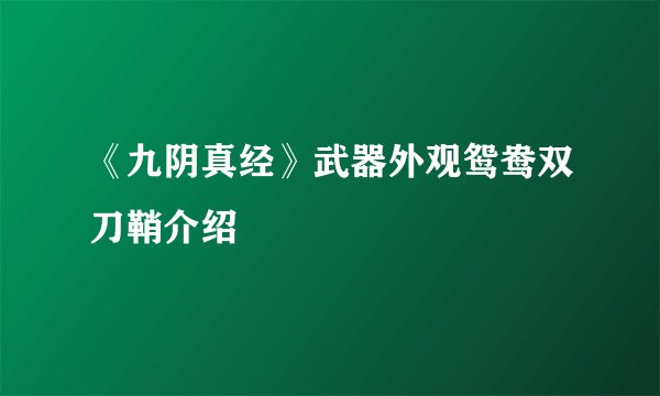 《九阴真经》武器外观鸳鸯双刀鞘介绍