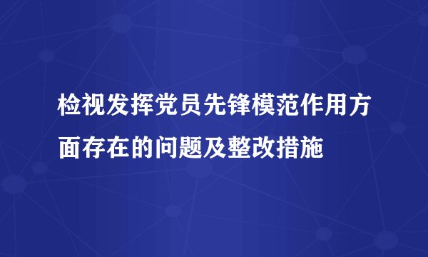 检视发挥党员先锋模范作用方面存在的问题及整改措施