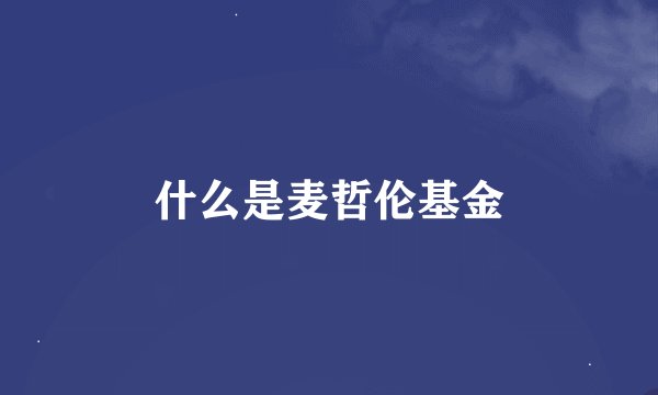 什么是麦哲伦基金