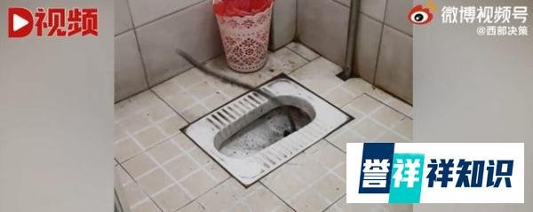 厕所突然钻出管子剧烈扭动 这是咋情况？