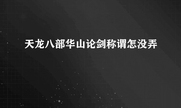 天龙八部华山论剑称谓怎没弄