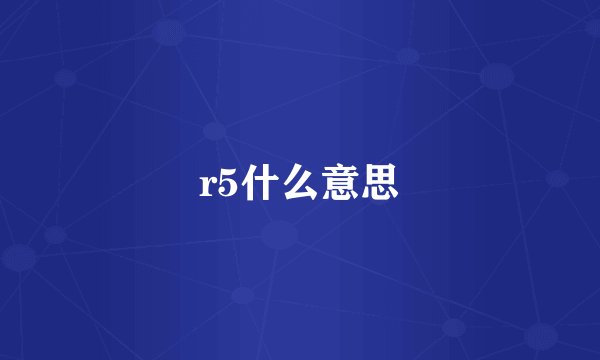 r5什么意思