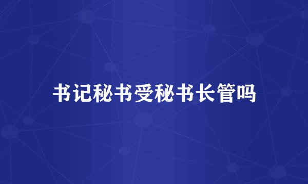 书记秘书受秘书长管吗