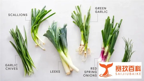 难倒谷爱凌的“韭菜盒子”英文怎么说?官方给答案了!
