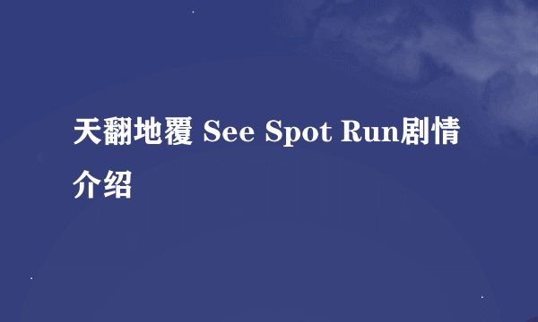 天翻地覆 See Spot Run剧情介绍