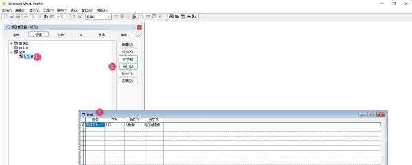 VF9.0 运行查询的四种方法