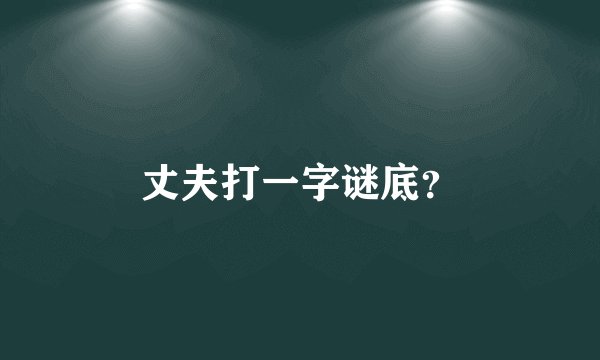 丈夫打一字谜底？