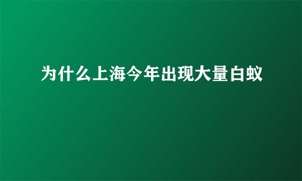 为什么上海今年出现大量白蚁