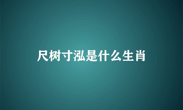 尺树寸泓是什么生肖