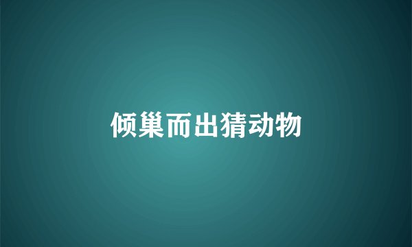 倾巢而出猜动物