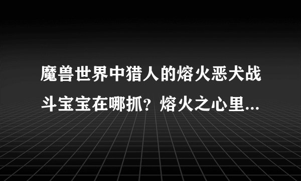 魔兽世界中猎人的熔火恶犬战斗宝宝在哪抓？熔火之心里的不能抓啊