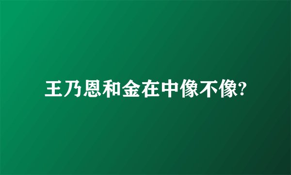 王乃恩和金在中像不像?