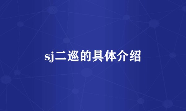 sj二巡的具体介绍