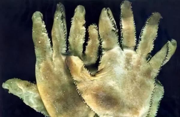 恐怖电影《电锯杀人狂》原型：将人皮做成手工艺品，食用人的心脏