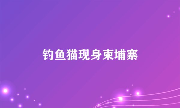 钓鱼猫现身柬埔寨