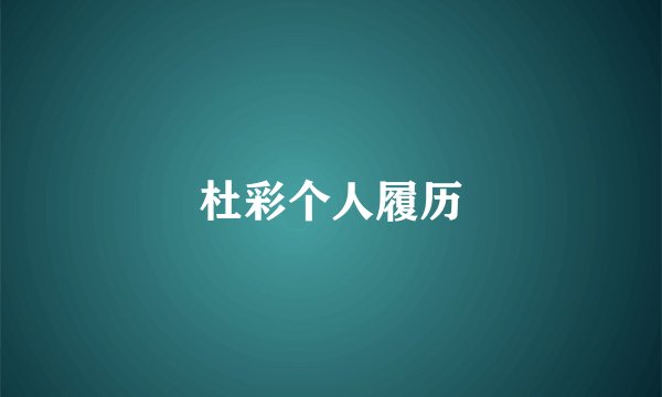 杜彩个人履历