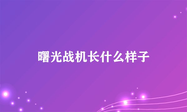 曙光战机长什么样子