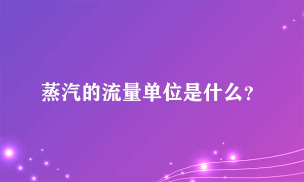 蒸汽的流量单位是什么？