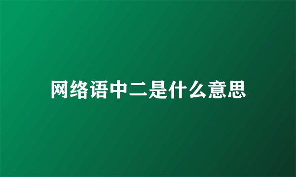 网络语中二是什么意思