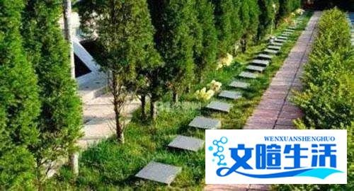 比房价贵5倍！这个城市开始对墓地也限购了