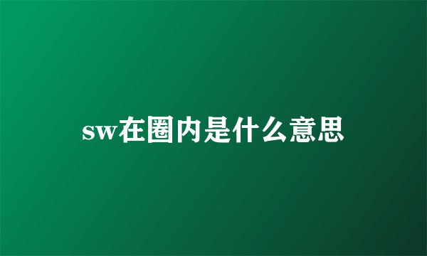 sw在圈内是什么意思