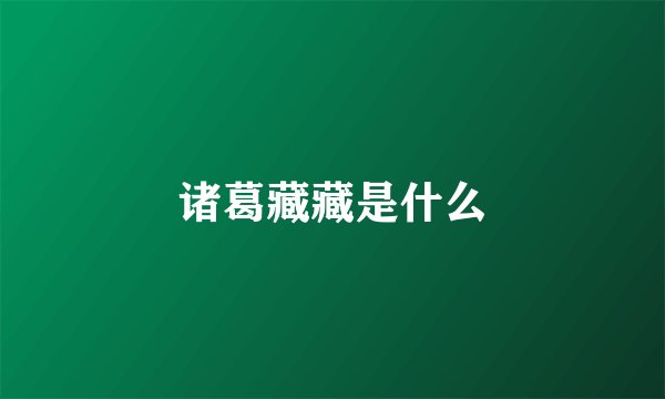 诸葛藏藏是什么