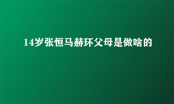 14岁张恒马赫环父母是做啥的