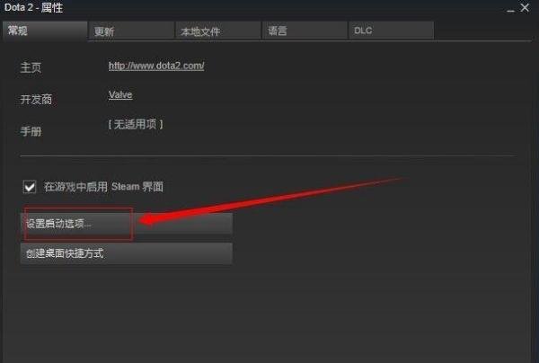 国服Dota2如何用steam启动