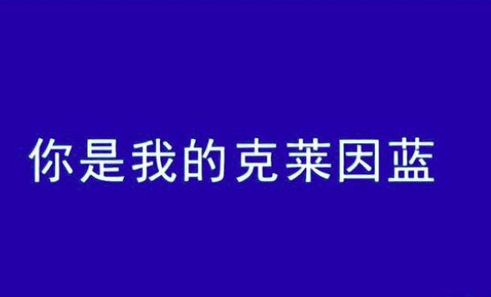 你是我的克莱因蓝是什么意思？