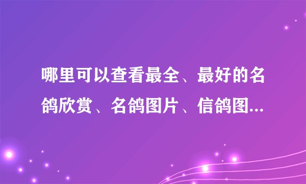 哪里可以查看最全、最好的名鸽欣赏、名鸽图片、信鸽图片？有没有苍白骑士的照片？