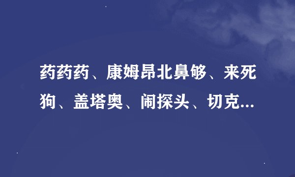 药药药、康姆昂北鼻够、来死狗、盖塔奥、闹探头、切克闹是什么意思？