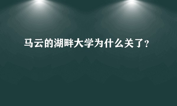 马云的湖畔大学为什么关了？