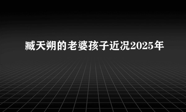 臧天朔的老婆孩子近况2025年