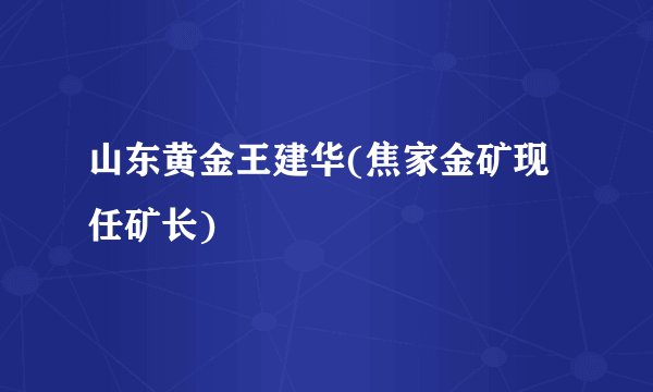 山东黄金王建华(焦家金矿现任矿长)