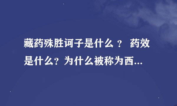 藏药殊胜诃子是什么 ？ 药效是什么？为什么被称为西藏最珍贵的药？