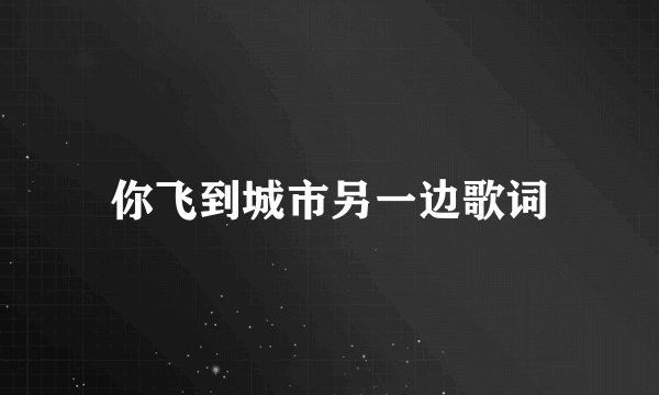 你飞到城市另一边歌词