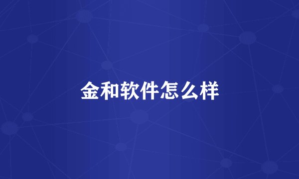 金和软件怎么样