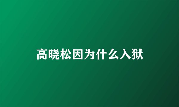 高晓松因为什么入狱