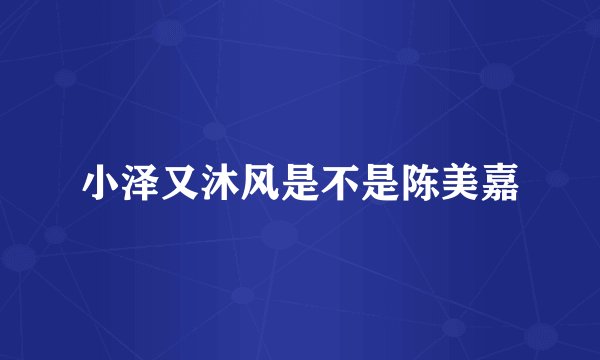 小泽又沐风是不是陈美嘉