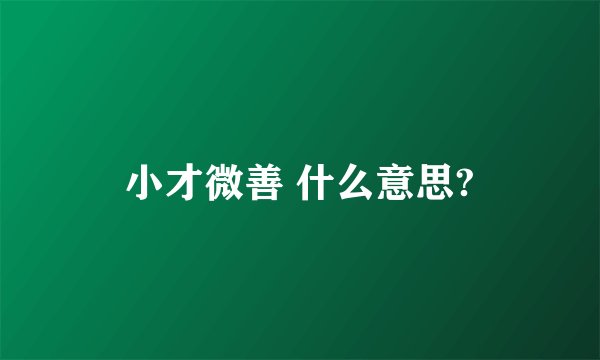 小才微善 什么意思?