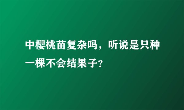 中樱桃苗复杂吗，听说是只种一棵不会结果子？