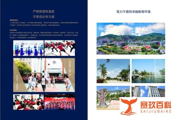 深圳高三复读班怎么选?这些宝藏学校别错过!