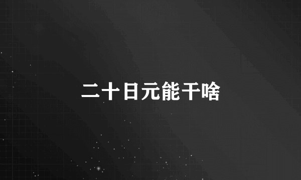 二十日元能干啥