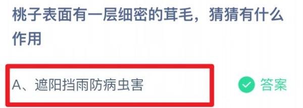 蚂蚁庄园小课堂2024年6月1日最新答案