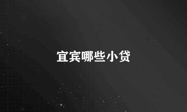 宜宾哪些小贷
