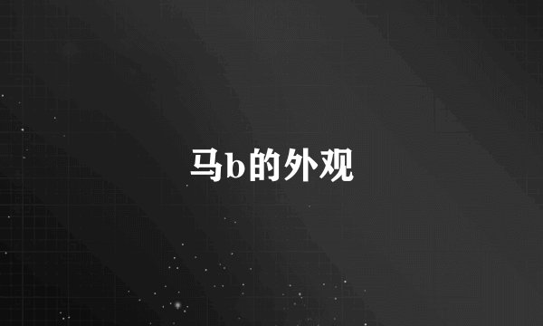 马b的外观