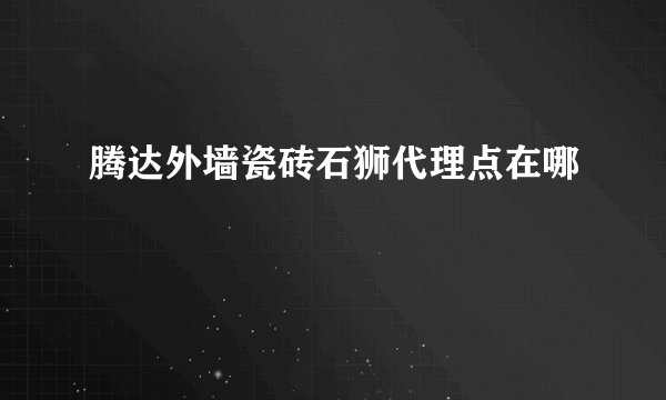 腾达外墙瓷砖石狮代理点在哪
