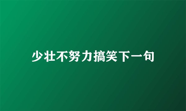 少壮不努力搞笑下一句